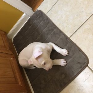 Meet your Posher, Lauryn